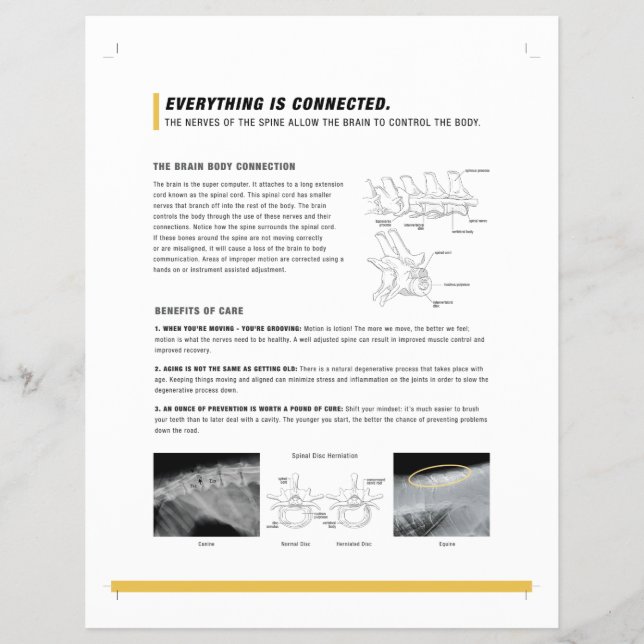 Flyer Folha de ROF (canino + equino) (Frente)