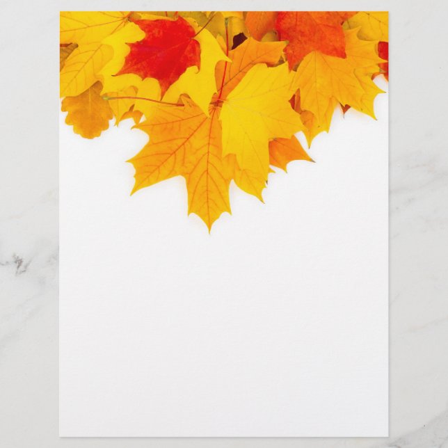 Flyer Folhas de bordo (Frente)