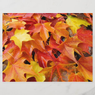 Flyer Folhas de Outono Laranja Amarelo Vermelho Papel Fl