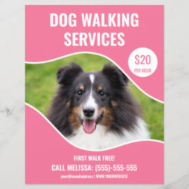 Flyer Foto de Shetland Sheepdog - Serviço de passeio de 