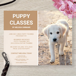 Flyer Fotos de Filhotes de Retriever Dourado Aulas de Fi