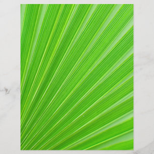 Flyer Fundo em folha de palmeira verde