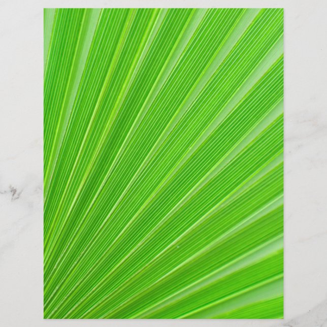Flyer Fundo verde da palmeira (Frente)