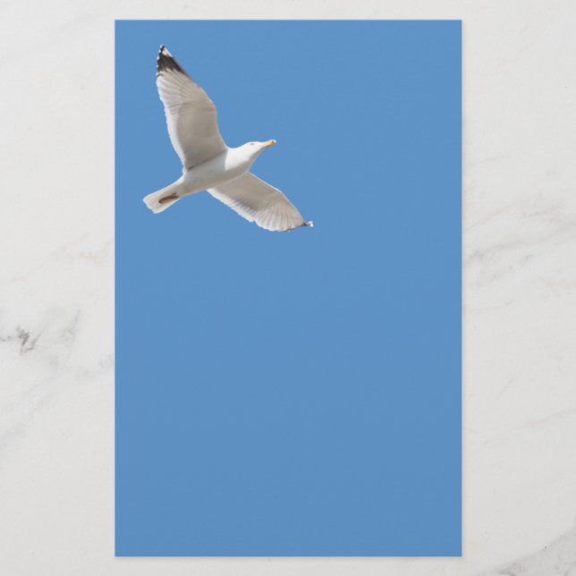 Flyer Gaivota (Frente)