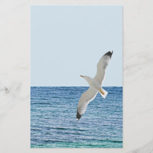 Flyer Gaivota sobre o mar