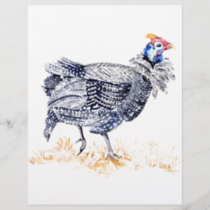 Flyer Galinha da Guiné