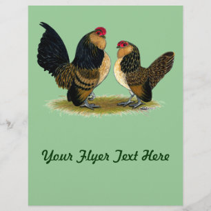 Flyer Galinhas anãs belgas dos d'Anvers:  Codorniz