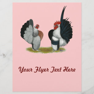 Flyer Galinhas anãs de Serama