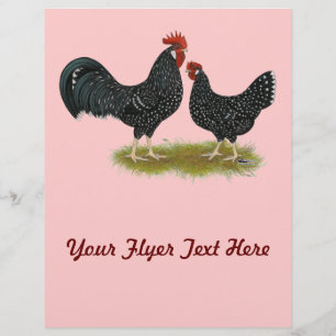 Flyer Galinhas de Ancona