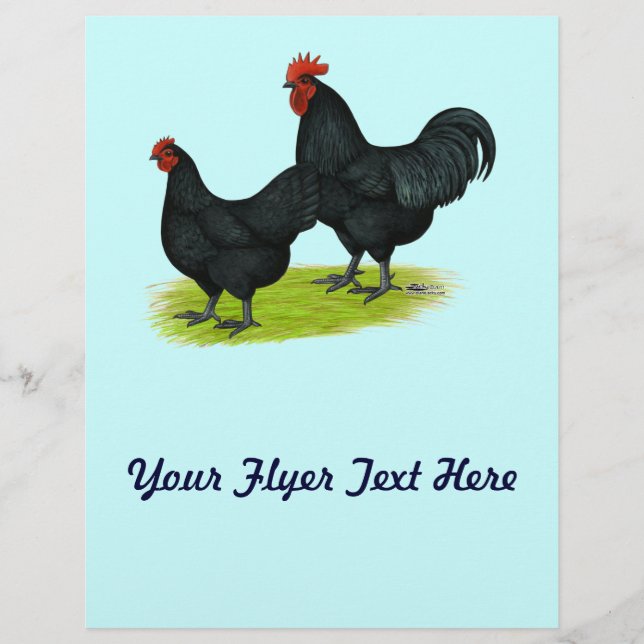 Flyer Galinhas Negras Australorp (Frente)