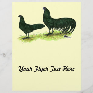 Flyer Galinhas pretas de Sumatra