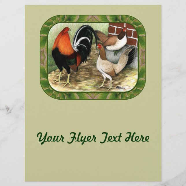 Flyer Gamefowl na Fazenda (Frente)