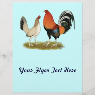 Flyer Gamefowl Wheatens