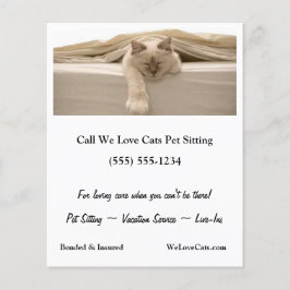 Flyer Gato De Beige Cugado Dormindo Na Cama bege