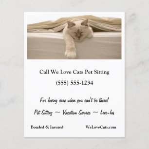 Flyer Gato De Beige Cugado Dormindo Na Cama bege