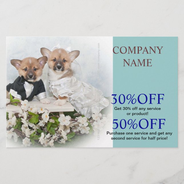 Flyer Gato de cão de estimação bonito (Frente)