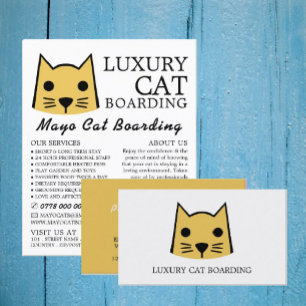 Flyer Gato Dourado, Embarque De Gato, Anúncio De Cateri