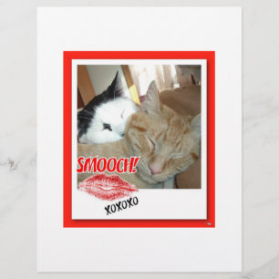 Flyer Gatos malhados de São Valentim
