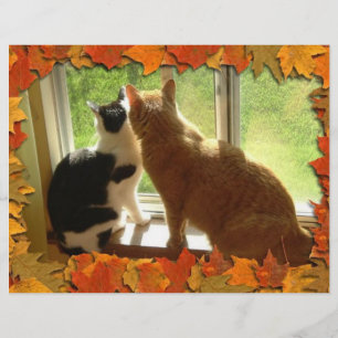 Flyer Gatos Tabby Laranja de Outono