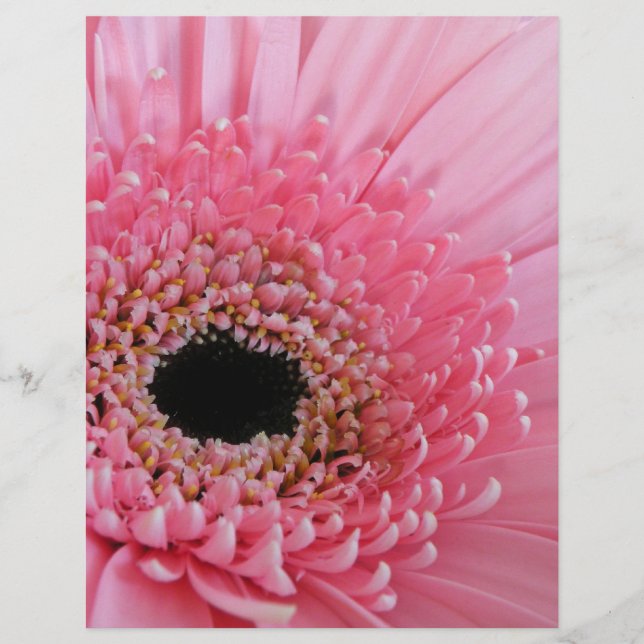 Flyer Gerbera Daisy (Frente)