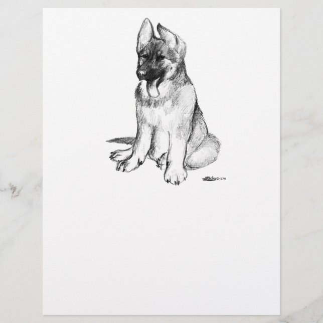 Flyer German shepherd (Frente)