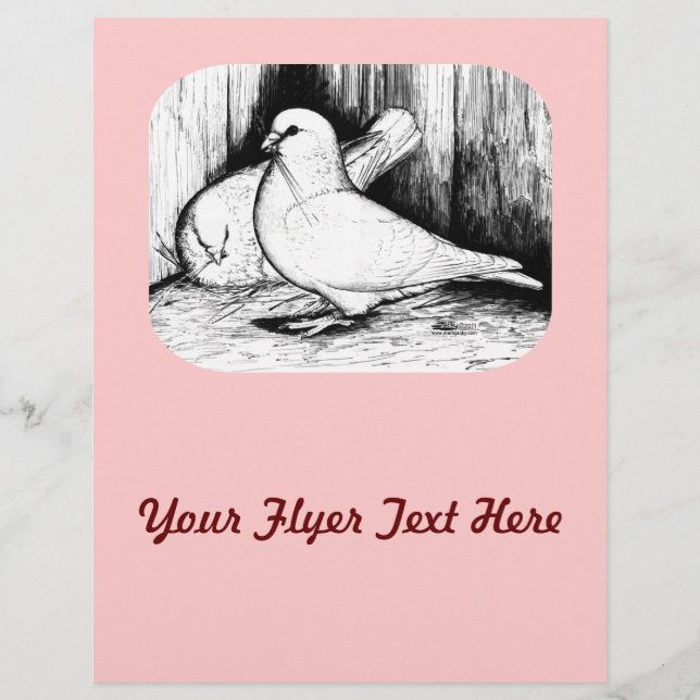 Flyer Gigante Runt Pigeons (Frente)