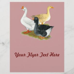 Flyer Goose Trio
