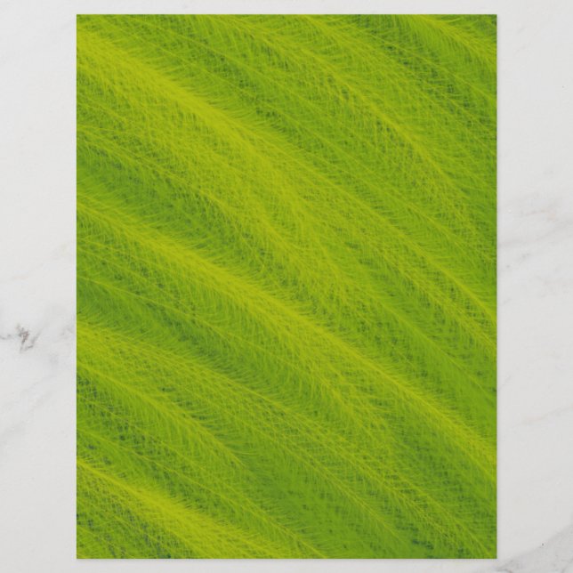 Flyer Green Wheat Field Bulk Scrapbook Paper Pages (Frente)
