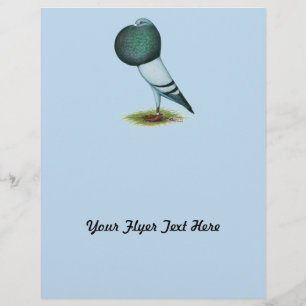 Flyer Horseman Pouter Pigeon Blue
