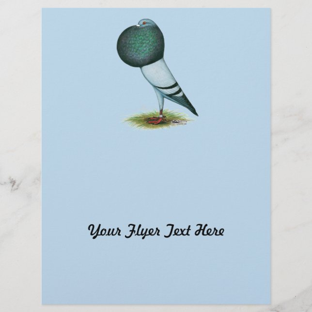 Flyer Horseman Pouter Pigeon Blue (Frente)