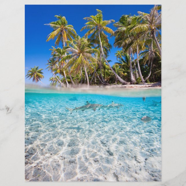 Flyer Ilha Tropical sob e acima da água (Frente)