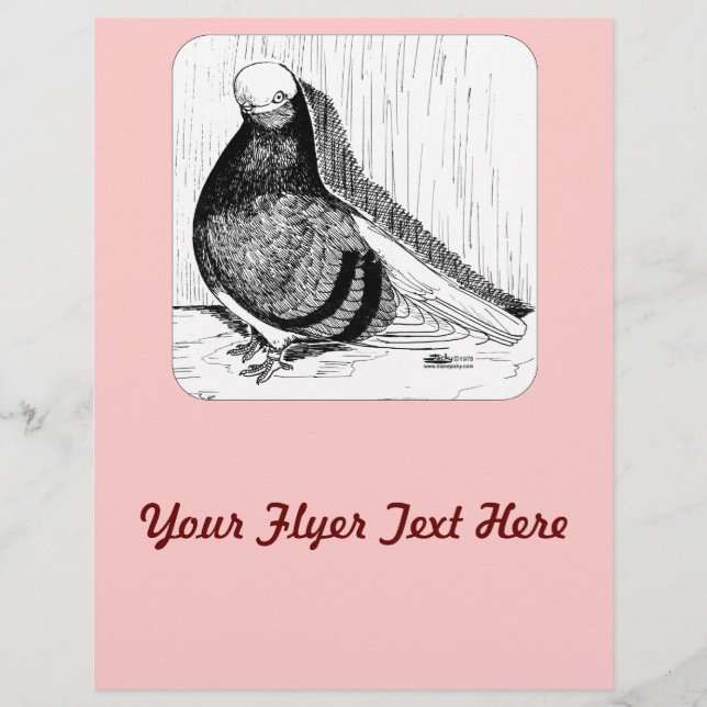 Flyer Inglês - ShortFace Pigeon Bald 1978 (Frente)