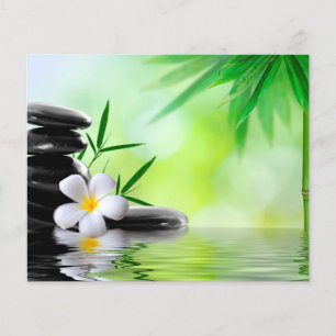 Flyer Insecto da massagem da beleza do bem-estar dos