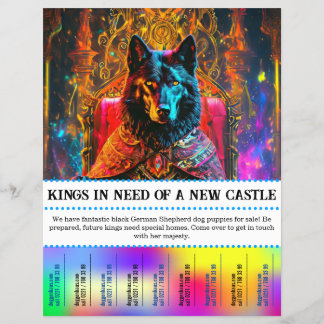 Flyer Lágrima de um cão pastor de lobo