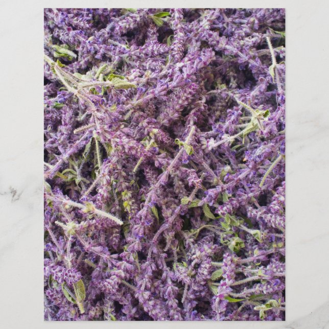 Flyer Lavender flowers pattern (Frente)