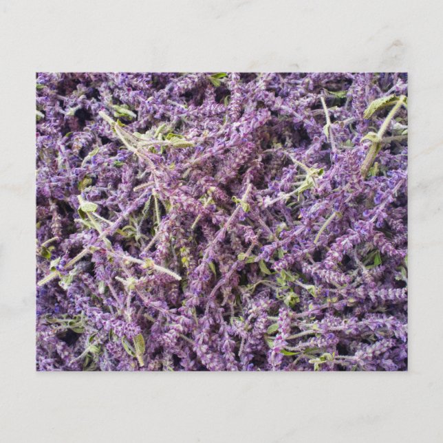 Flyer Lavender flowers pattern (Frente)