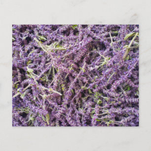 Flyer Lavender flowers pattern