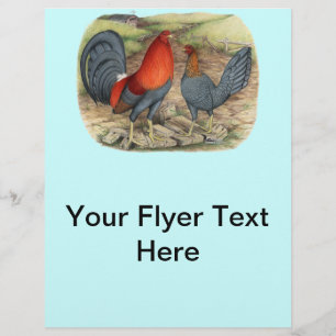 Flyer Leds Azul do Jogo Americano