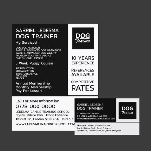 Flyer Logotipo da empresa, publicidade do Dog Trainer
