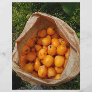 Flyer Loquats frescos