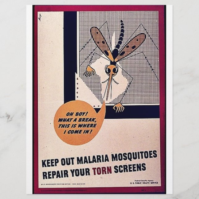 Flyer Mantenha Fora Os Mosquitos Da Malária Reparam A Te (Frente)