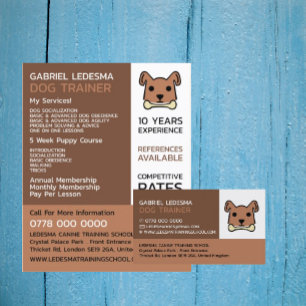 Flyer Marrom, Dog Trainer Publicidade