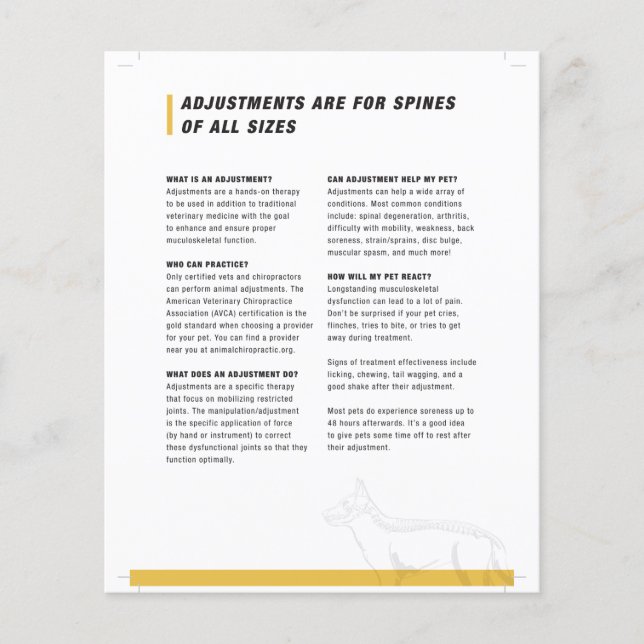 Flyer Meia folha canina (Frente)