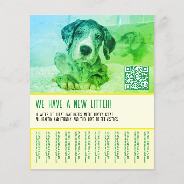 Flyer Modelo de cachorro à venda  (Frente)