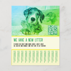 Flyer Modelo de cachorro à venda 