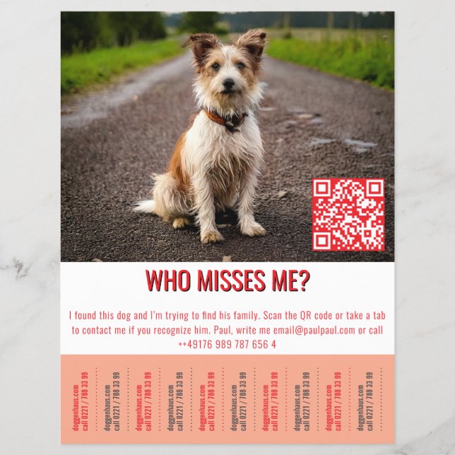 Flyer Modelo de cachorro encontrado tap  (Frente)