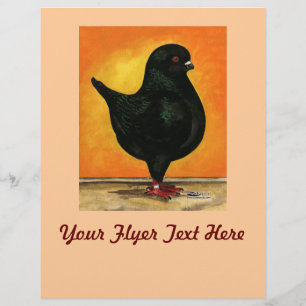 Flyer Modena Black Schietti