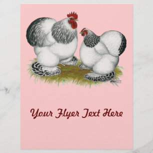 Flyer Moedas:  Columbian Bantams