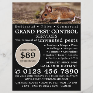 Flyer Mouse, Anúncio de Controle de Pest