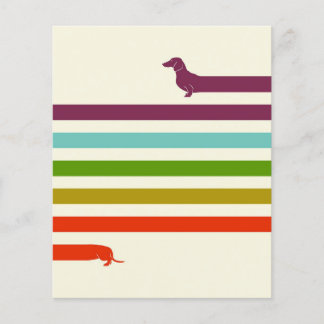 Flyer (Muito) Longo Dachshund